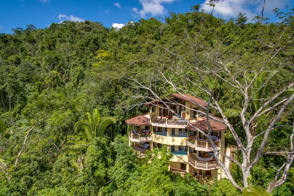 Sleeping Giant Rainforest Lodge Belmopan Kültér fotó